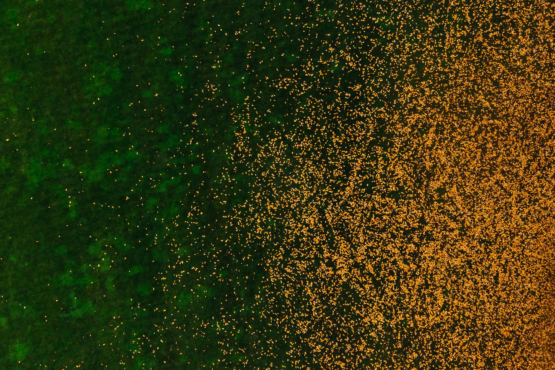 Sistemas de Gestão - ERP